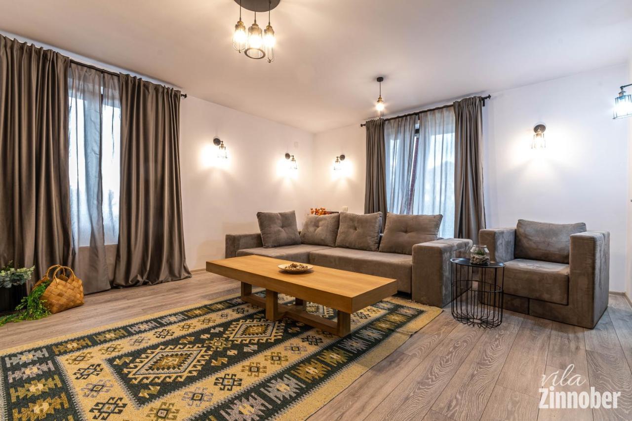 Vila Zinnober Braşov Extérieur photo
