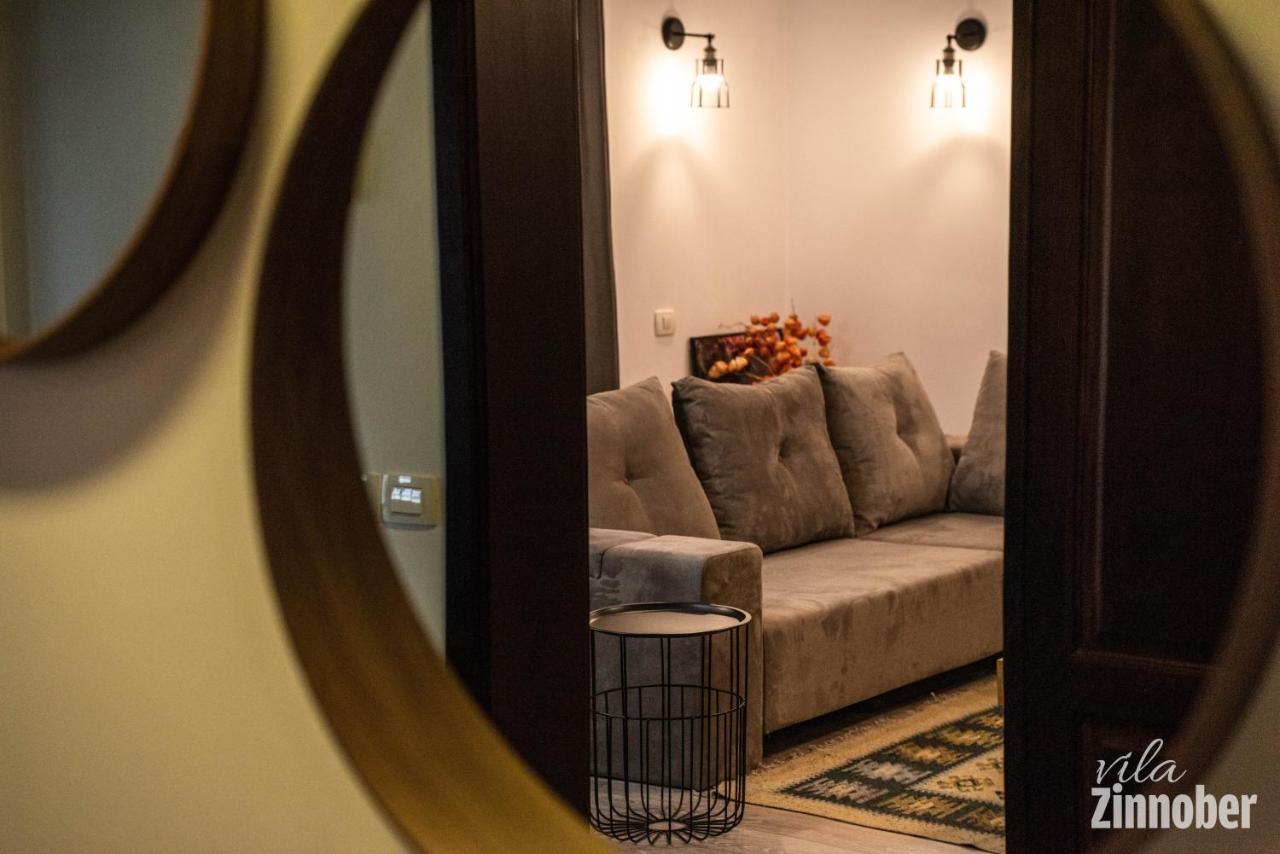 Vila Zinnober Braşov Extérieur photo