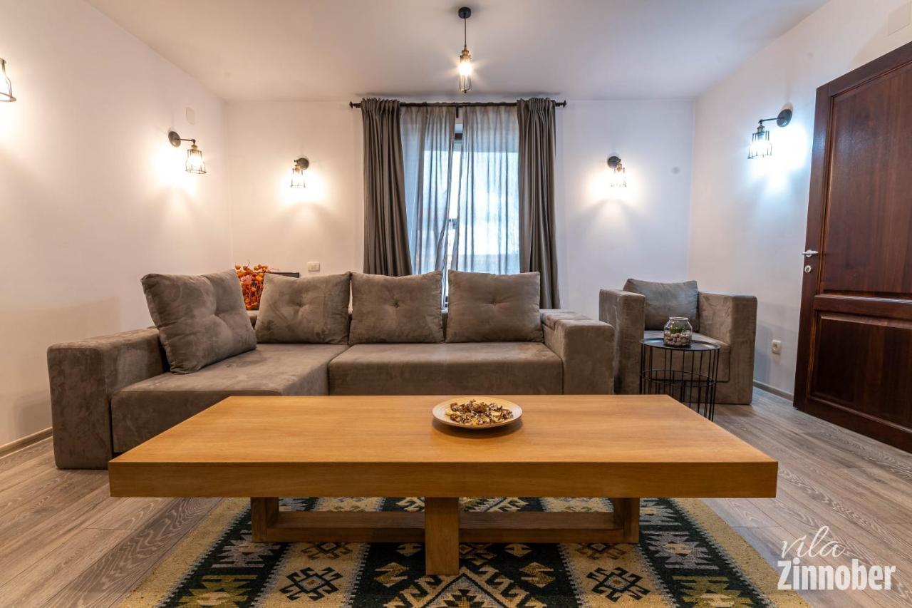 Vila Zinnober Braşov Extérieur photo