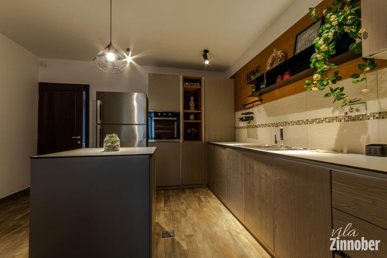 Vila Zinnober Braşov Extérieur photo