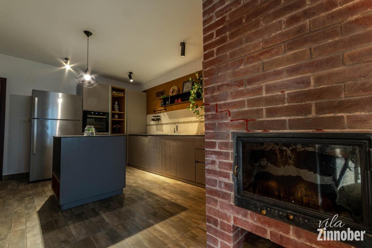 Vila Zinnober Braşov Extérieur photo