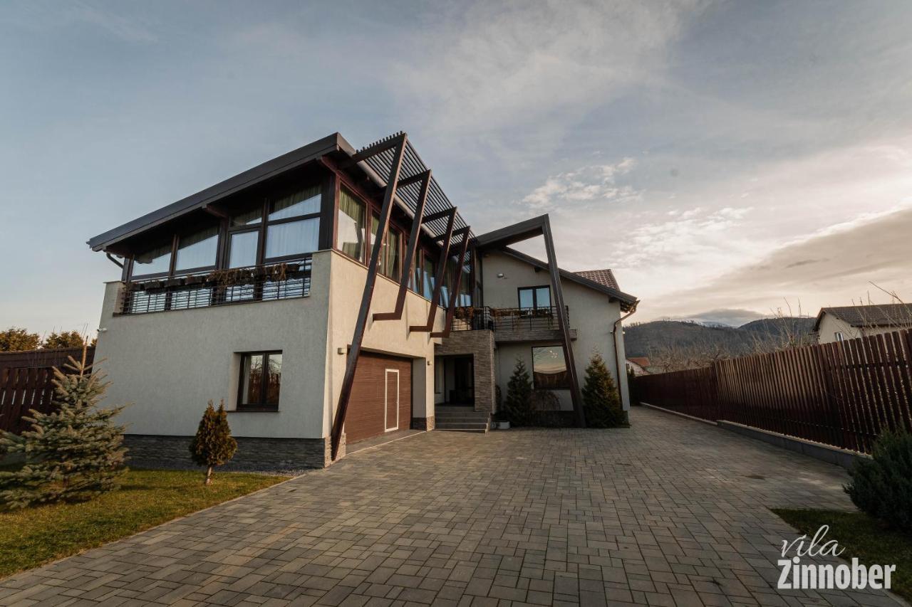 Vila Zinnober Braşov Extérieur photo