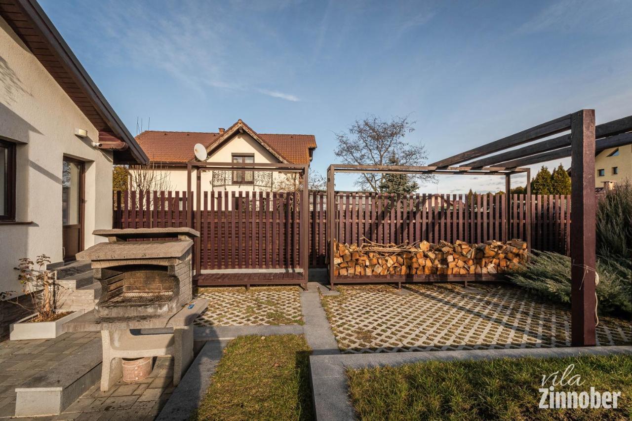 Vila Zinnober Braşov Extérieur photo
