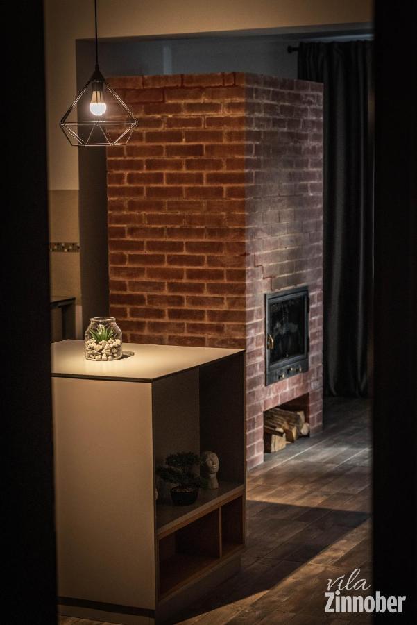 Vila Zinnober Braşov Extérieur photo