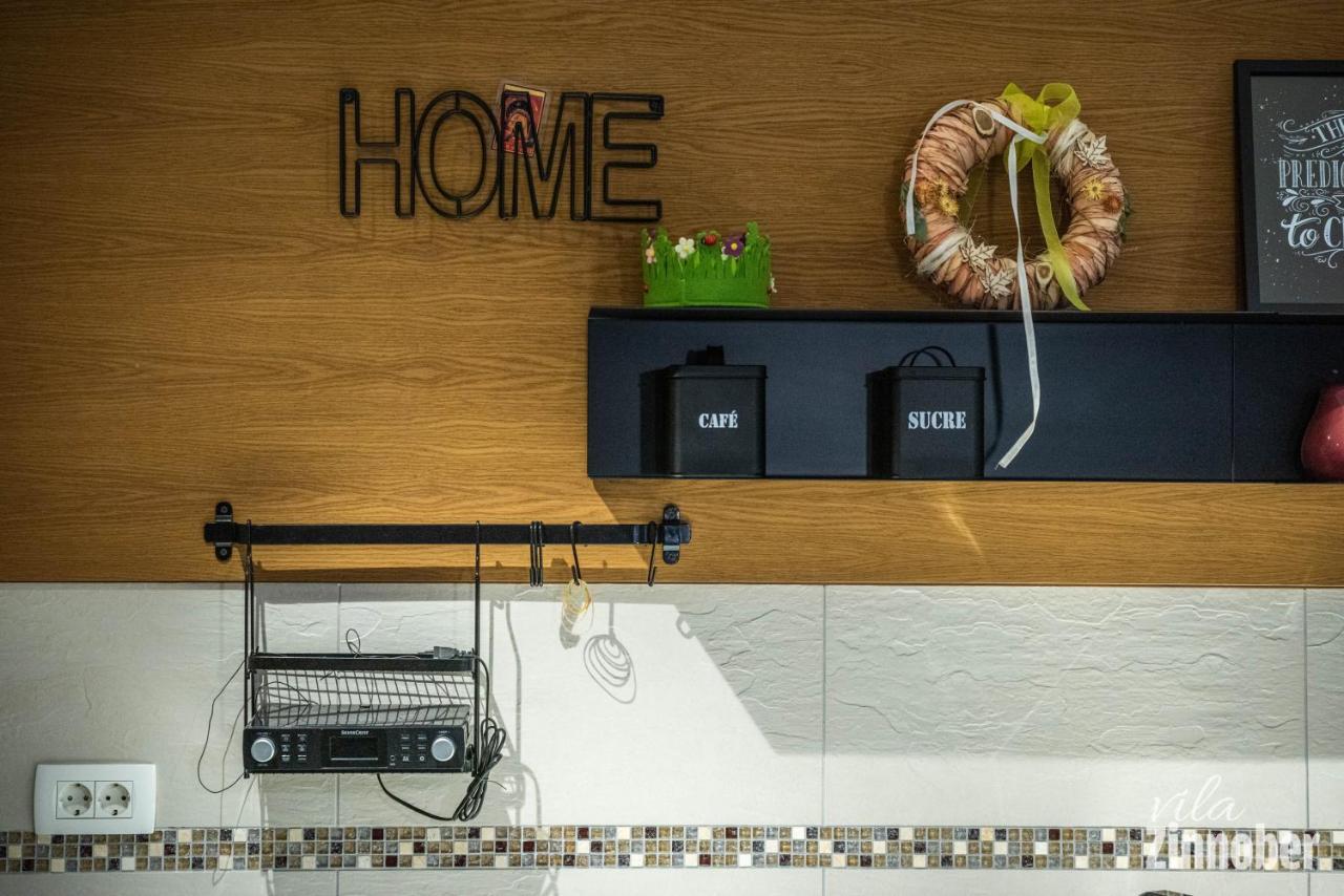 Vila Zinnober Braşov Extérieur photo