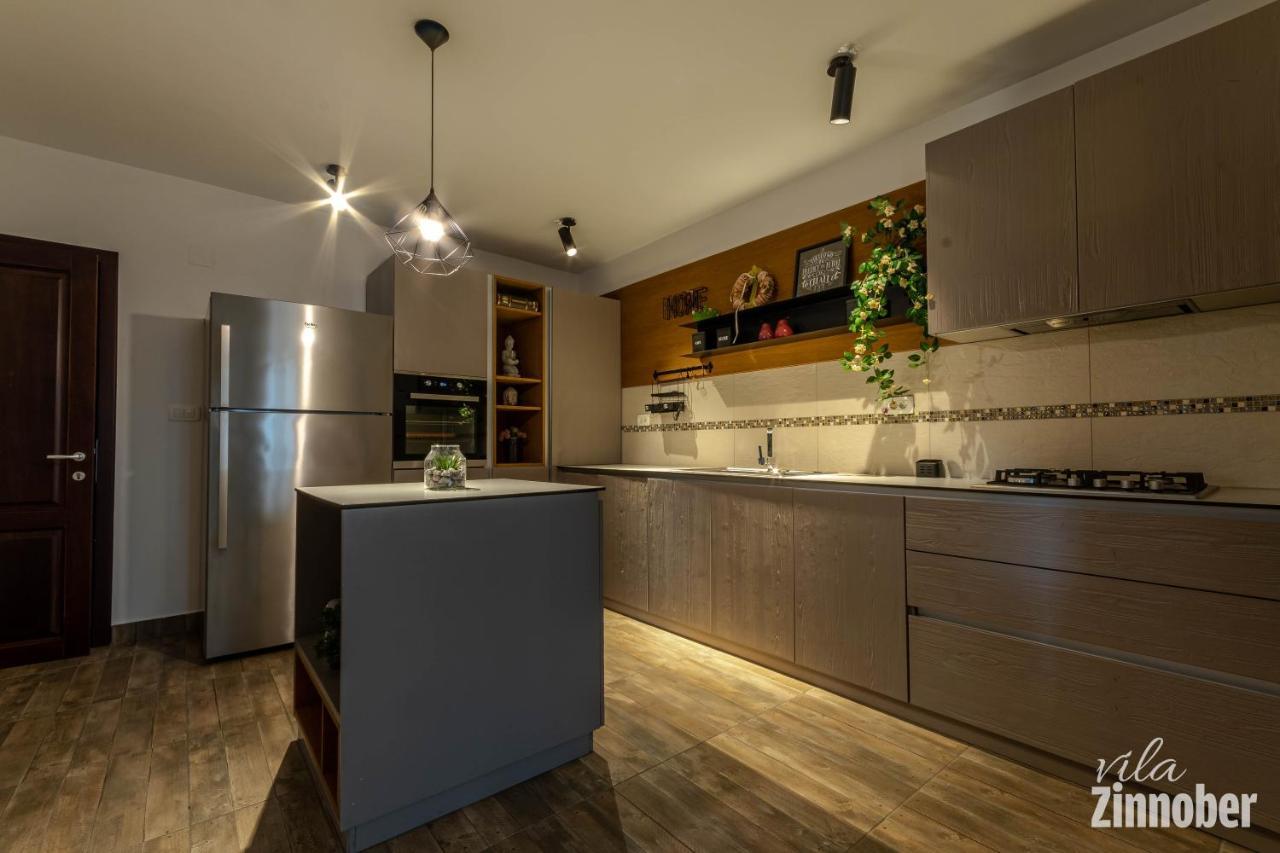 Vila Zinnober Braşov Extérieur photo