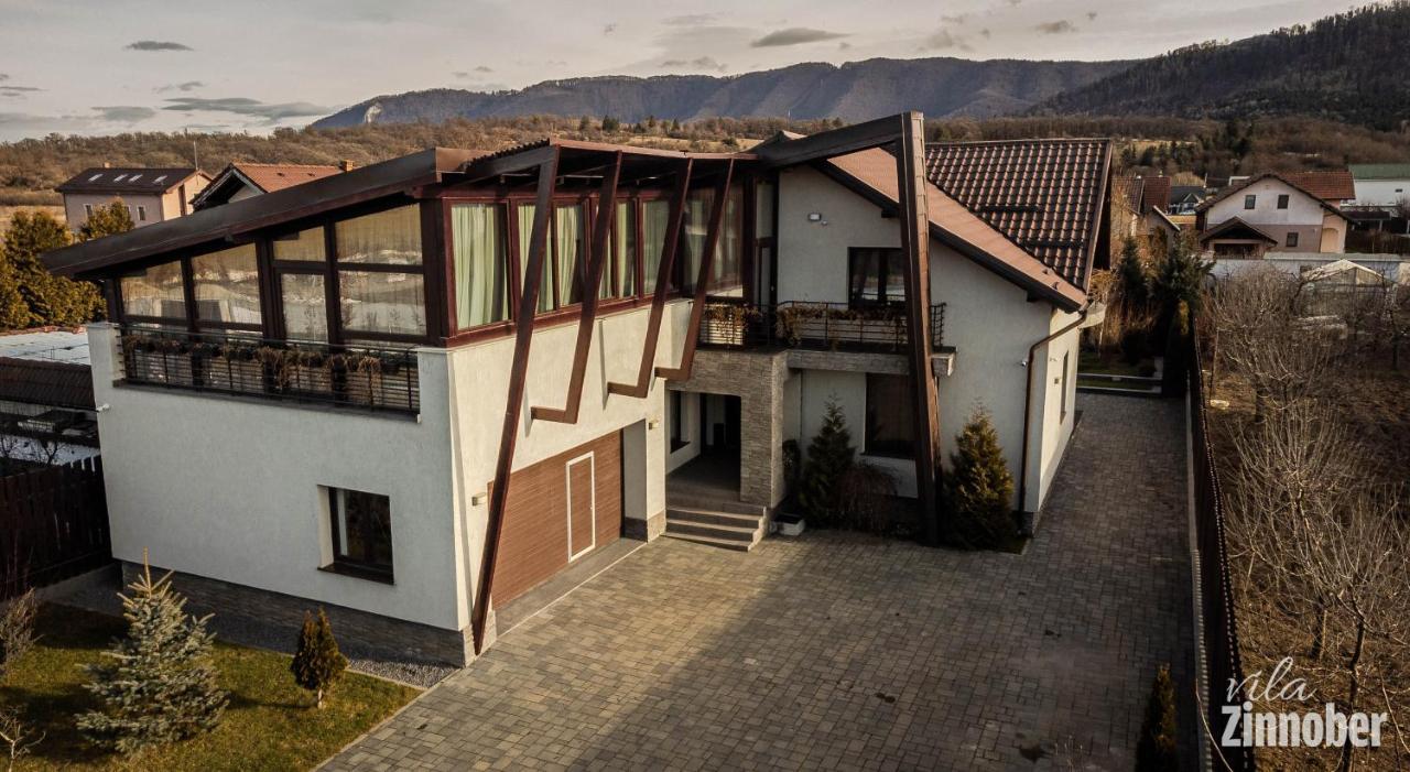 Vila Zinnober Braşov Extérieur photo