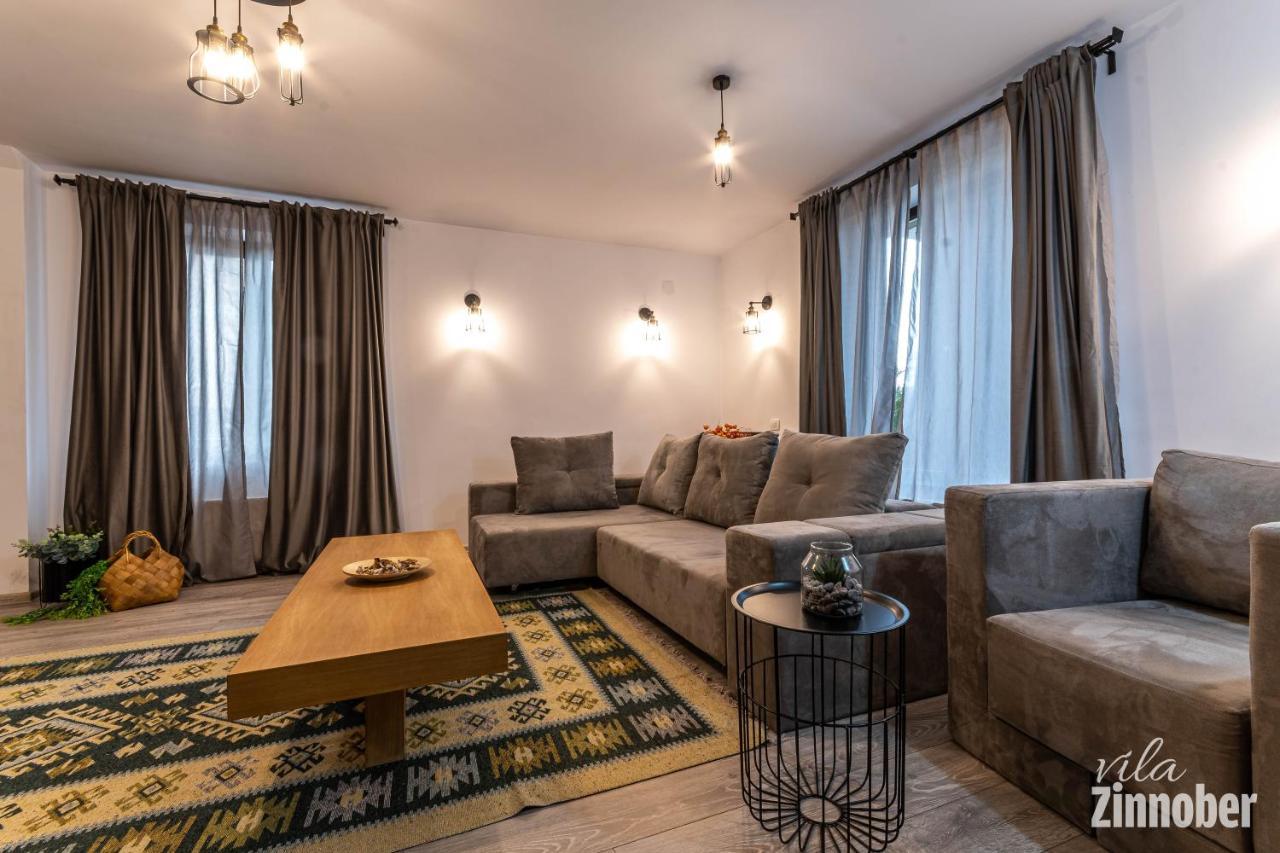 Vila Zinnober Braşov Extérieur photo