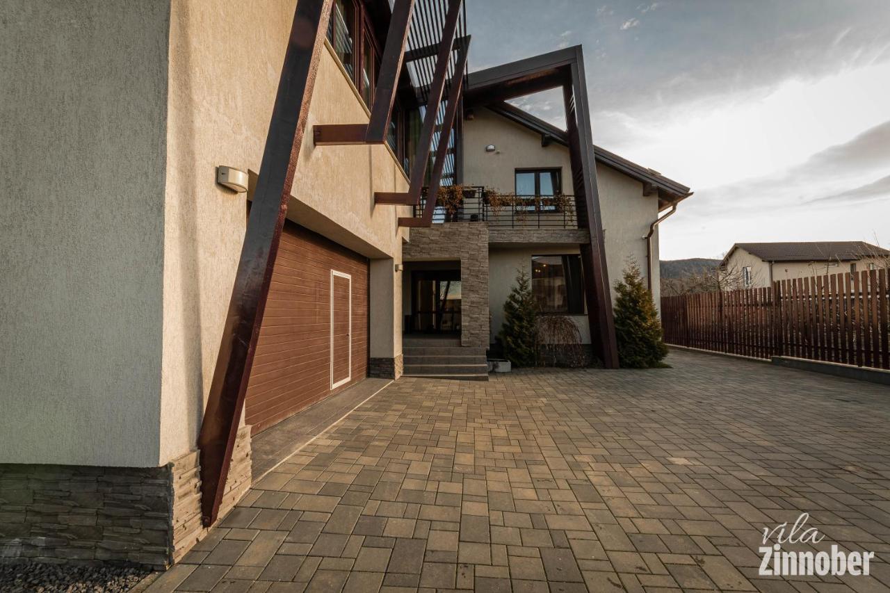 Vila Zinnober Braşov Extérieur photo