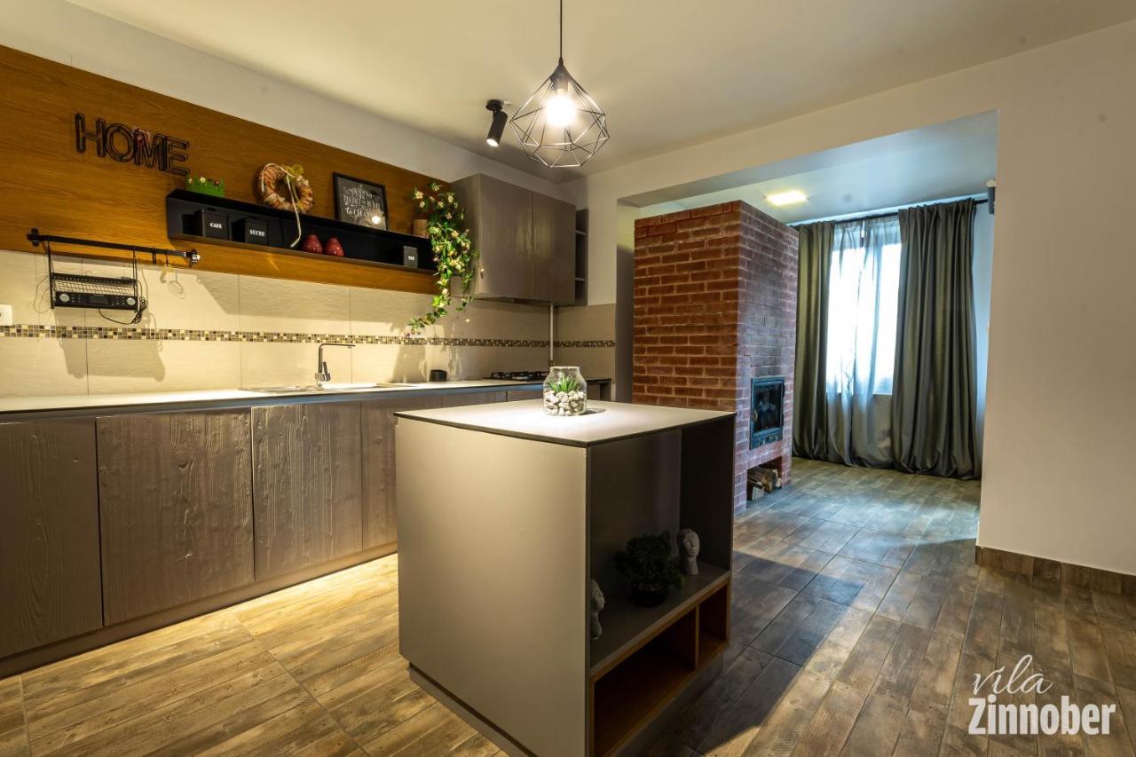 Vila Zinnober Braşov Extérieur photo