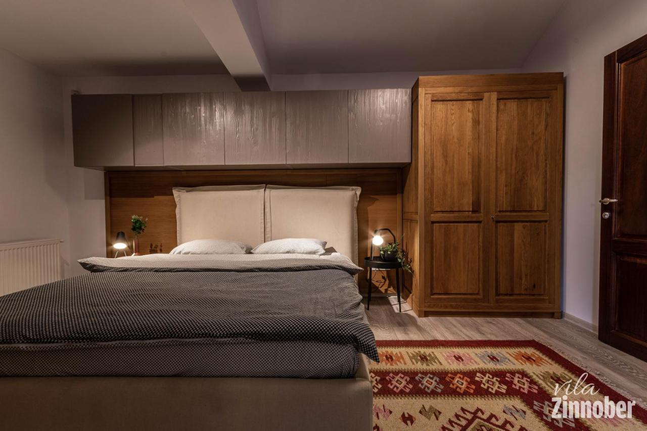 Vila Zinnober Braşov Extérieur photo