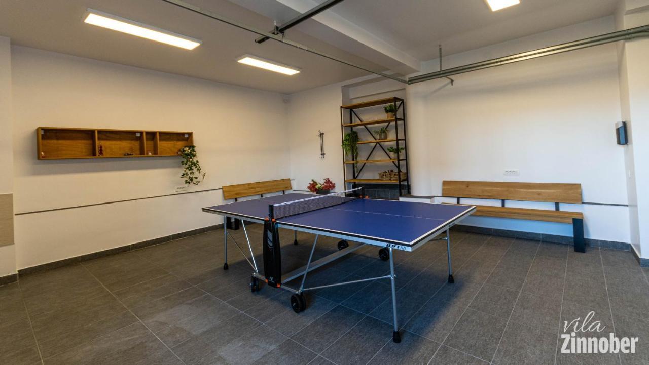 Vila Zinnober Braşov Extérieur photo