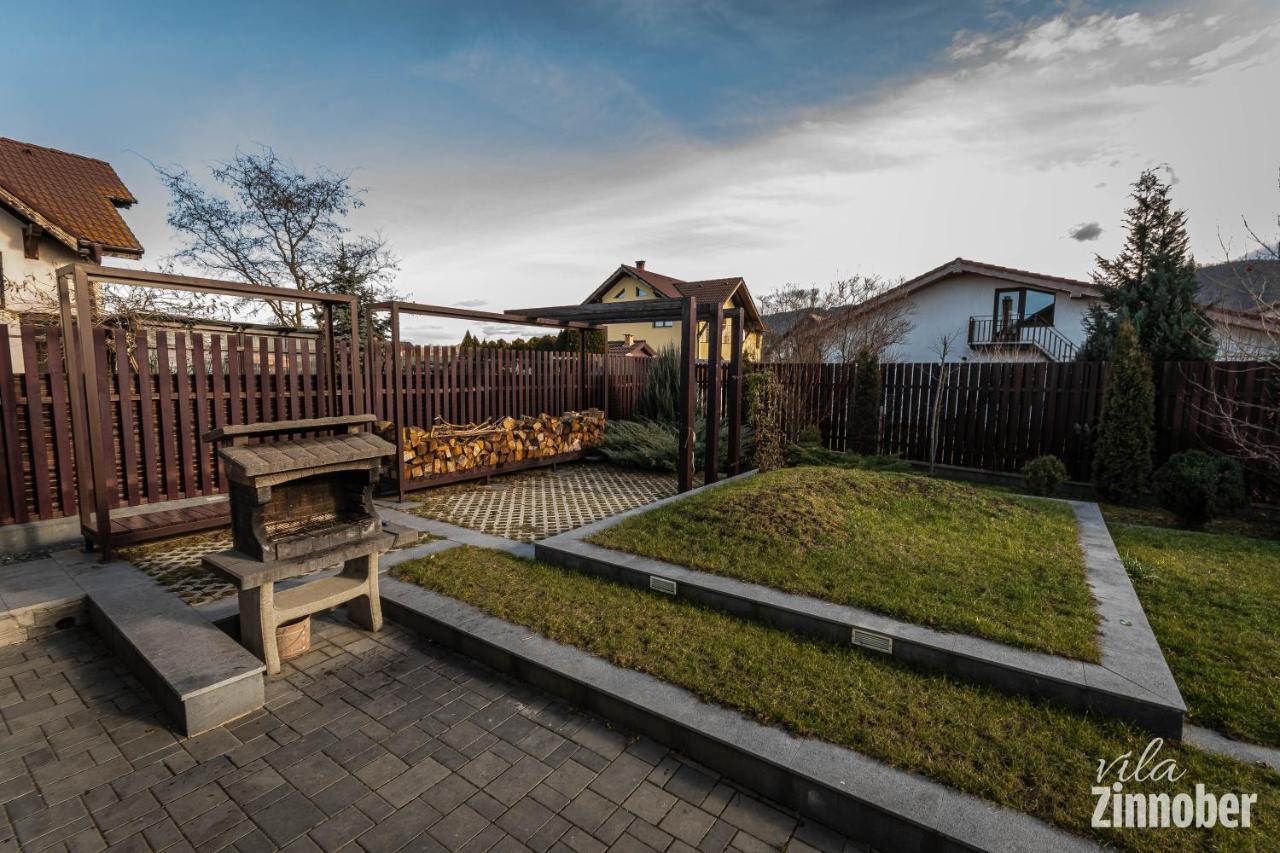 Vila Zinnober Braşov Extérieur photo
