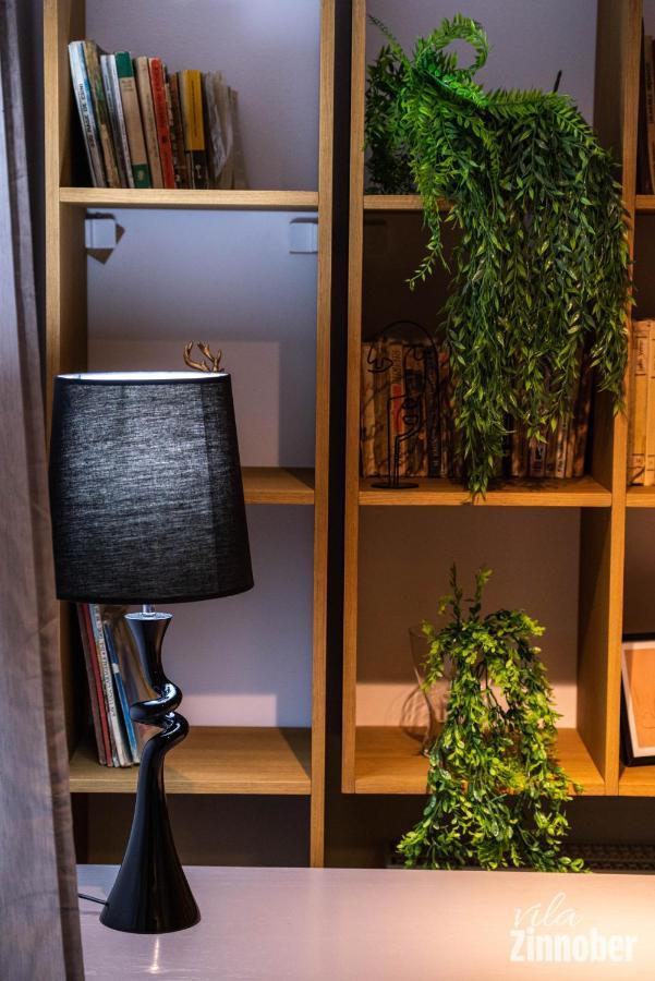 Vila Zinnober Braşov Extérieur photo
